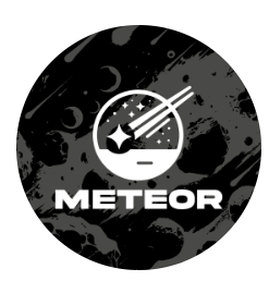 logo meteor fightwear